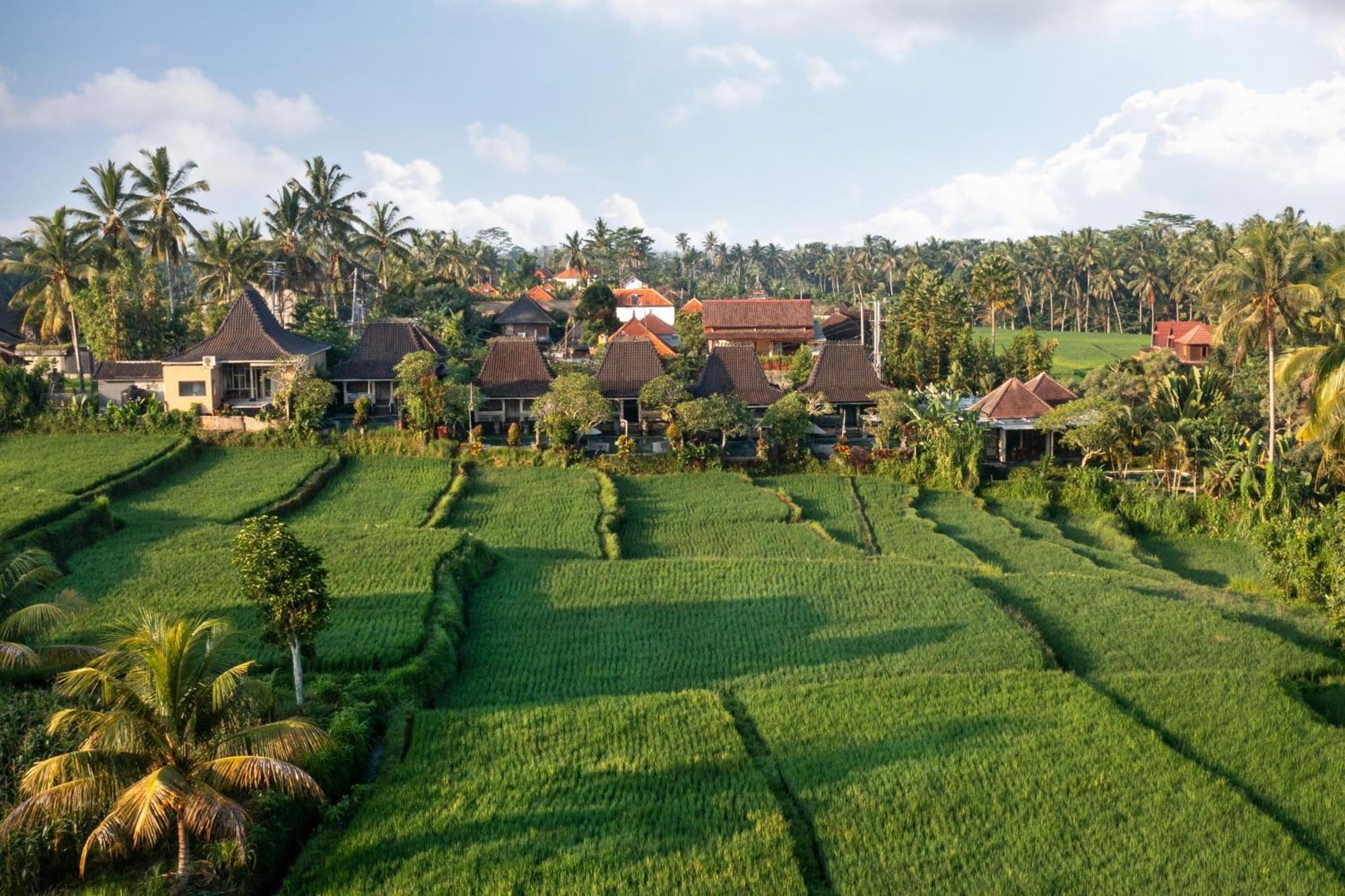 Villa Wooden Ganeca By Pramana