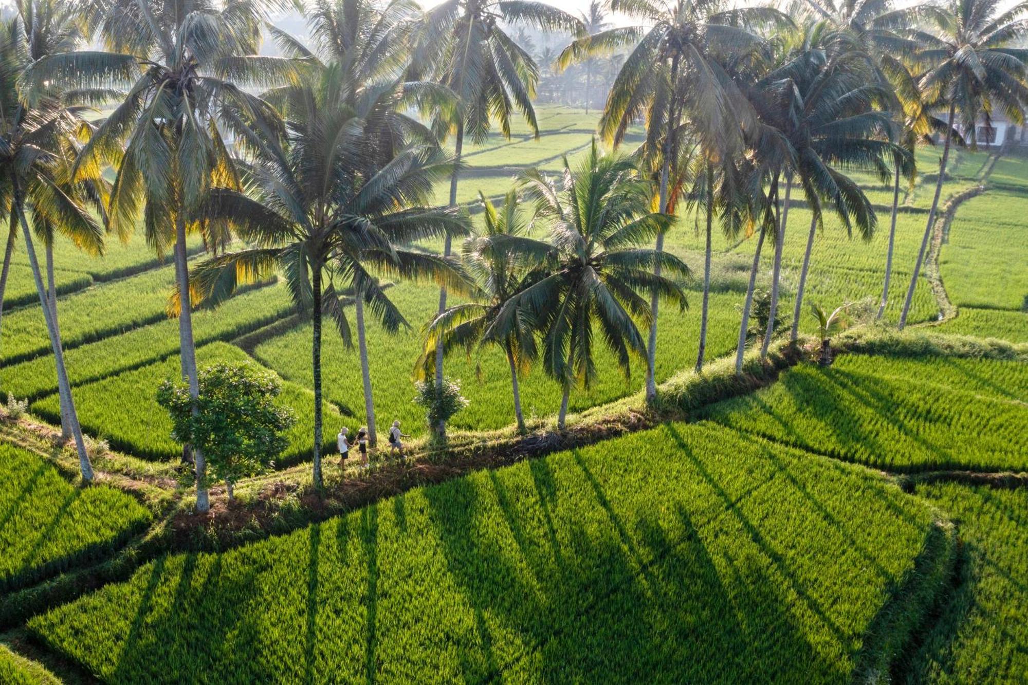 Wooden Ganeca By Pramana Villa *